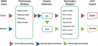 DeteX: A highly accurate software for detecting SNV and InDel in single and paired NGS data in cancer research